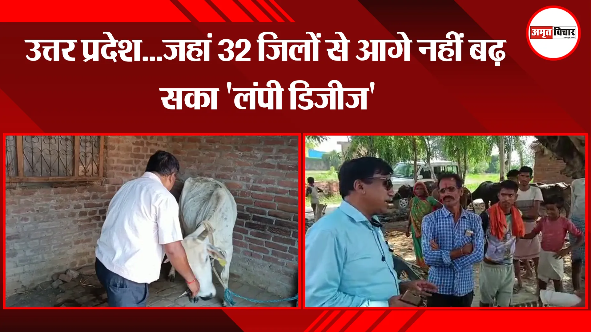 शाहजहांपुर: उत्तर प्रदेश...जहां 32 जिलों से आगे नहीं बढ़ सका 'लंपी डिजीज'