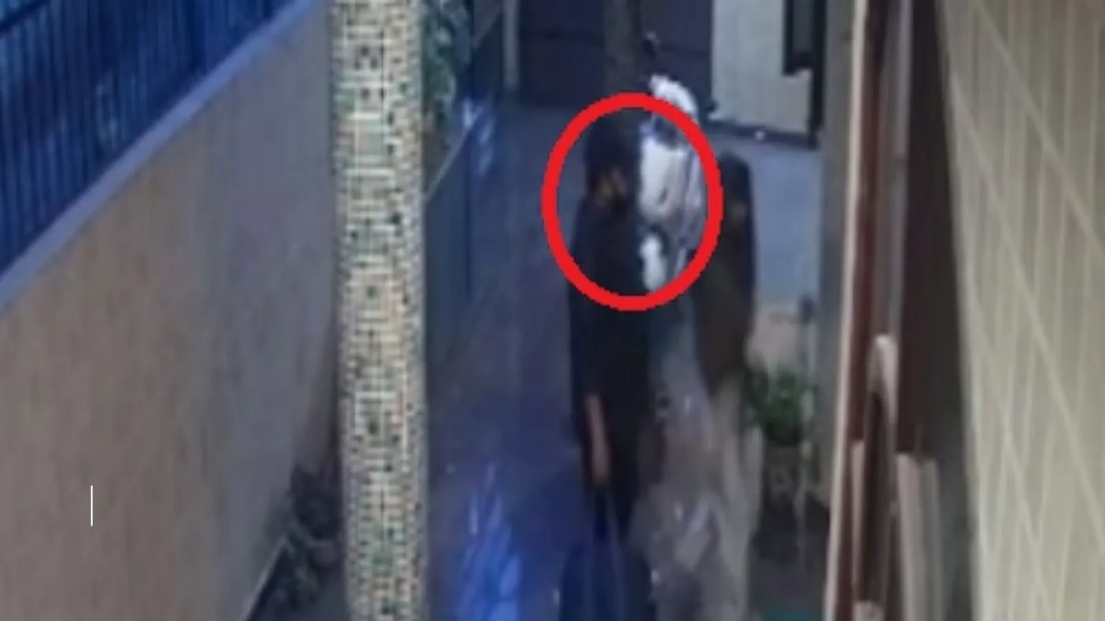 VIDEO: मेरठ पहुंचा था बमबाज गुड्डू, हाथ में था रुपयों से भरा बैग, सामने आई CCTV फुटेज