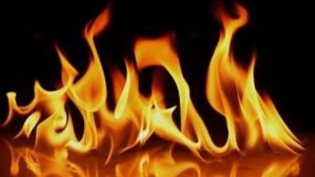 हिमाचल प्रदेश: एसडीएम कार्यालय की लाइसेंस शाखा में लगी आग, कई दस्तावेज जले