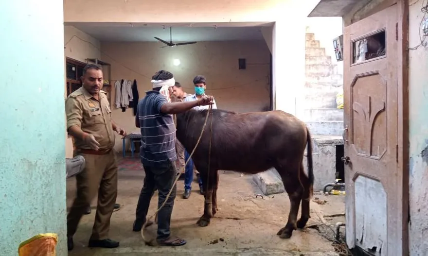 कतर्ेरितक्िि