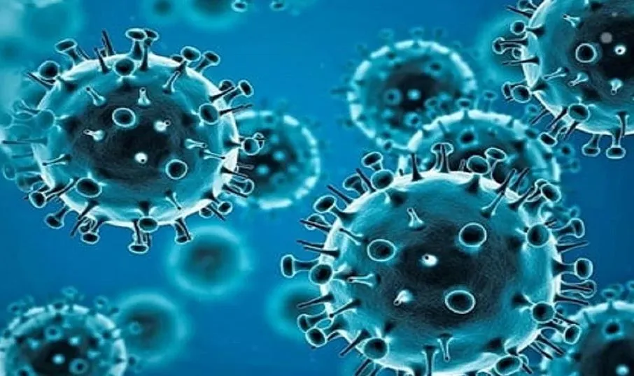 बरेली: एक दिन में 19 कोरोना संक्रमित, मरीजों की संख्या हुई 52