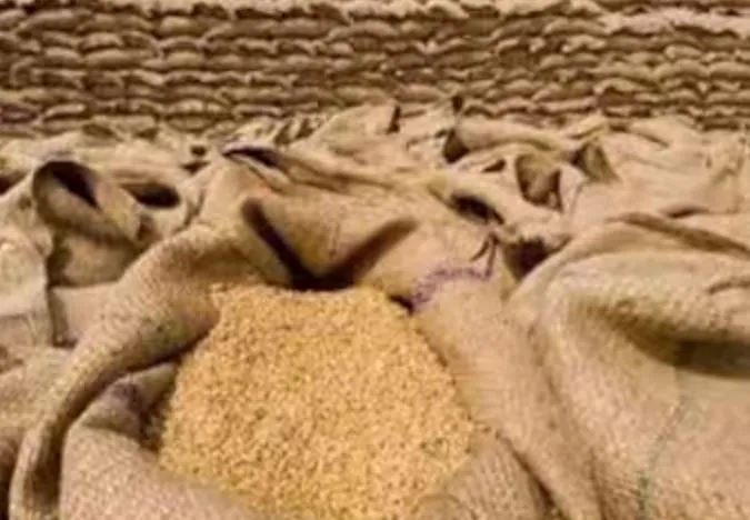 देश में हुई सात लाख टन गेहूं की खरीद, पिछले वर्ष की तुलना में पांच लाख टन अधिक