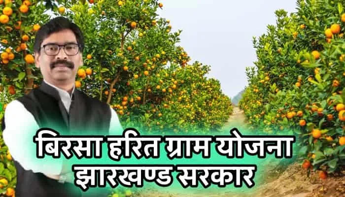 बिरसा हरित ग्राम योजना के लिए जिलास्तर पर बनाई जाएगी नर्सरी : चंद्रशेखर