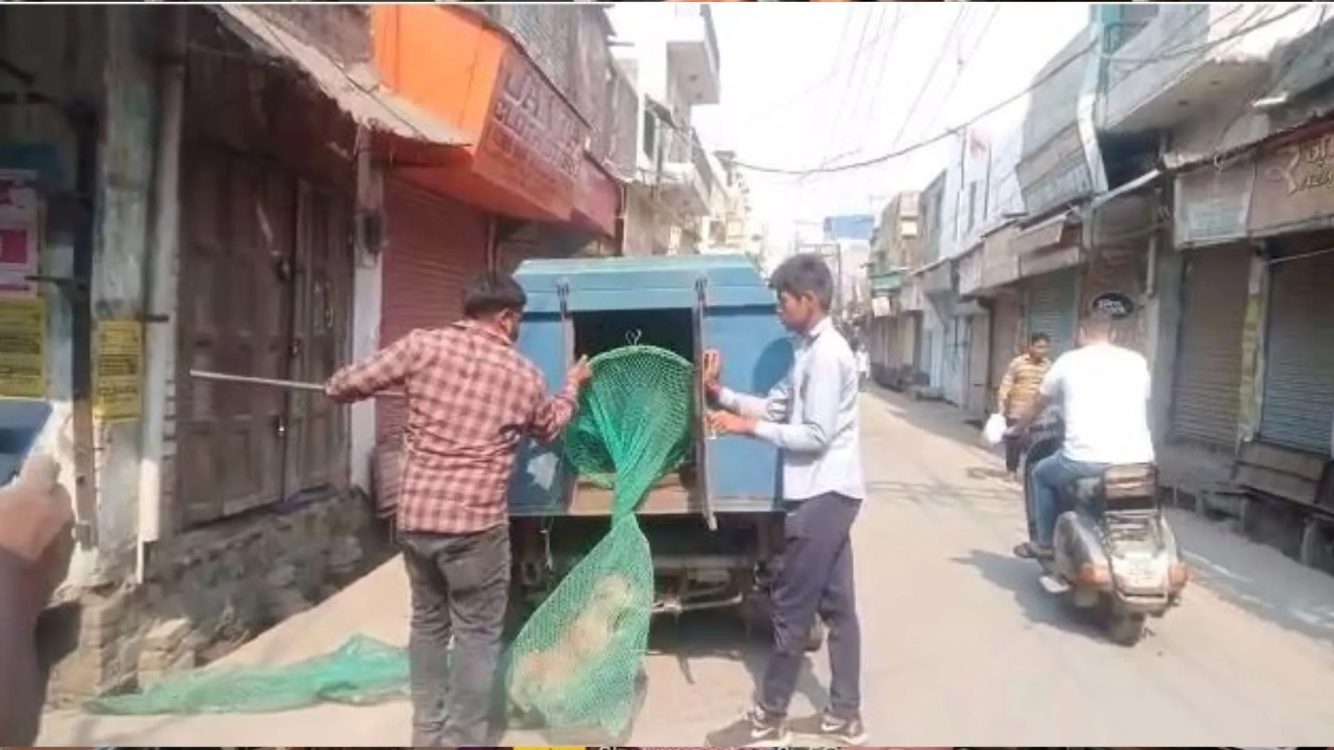 बरेली: नगर निगम चला रही आवारा कुत्तों को पकड़ने का अभियान