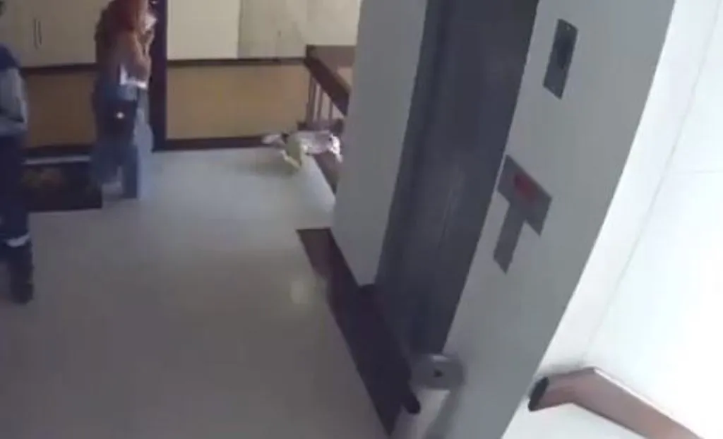 Viral Video: सीढ़ियों की रेलिंग के बीच से फिसला बच्चा, पकड़ने के लिए दौड़ी मां, वीडियो देख कांप जाएगी रूह 