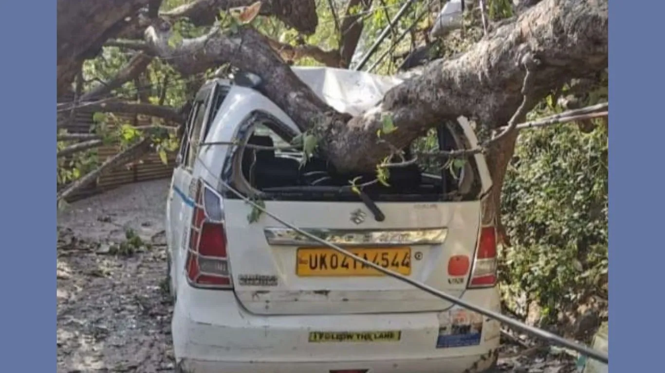 Nainital News: कार पर गिरा विशालकाय पेड़, हादसे के समय कार में नहीं था कोई मौजूद, तार टूटने से बिजली आपूर्ति ठप
