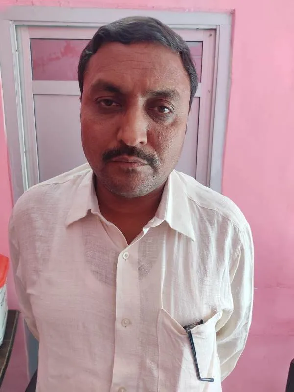 पपपपपपपपप