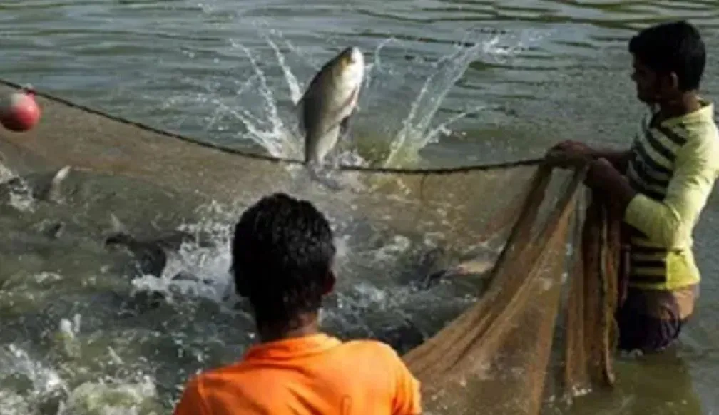 बरेली: मत्स्य पालकों और मछुआरों को आर्थिक रूप से मजबूत करेगी निषादराज बोट सब्सिडी योजना