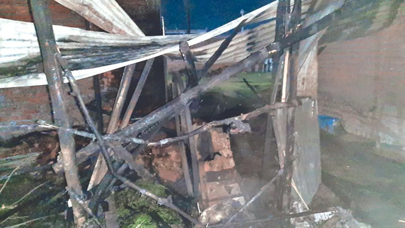 Gadarpur News: गोशाला में लगी आग में झुलसने से एक पशु की मौत, दो घायल