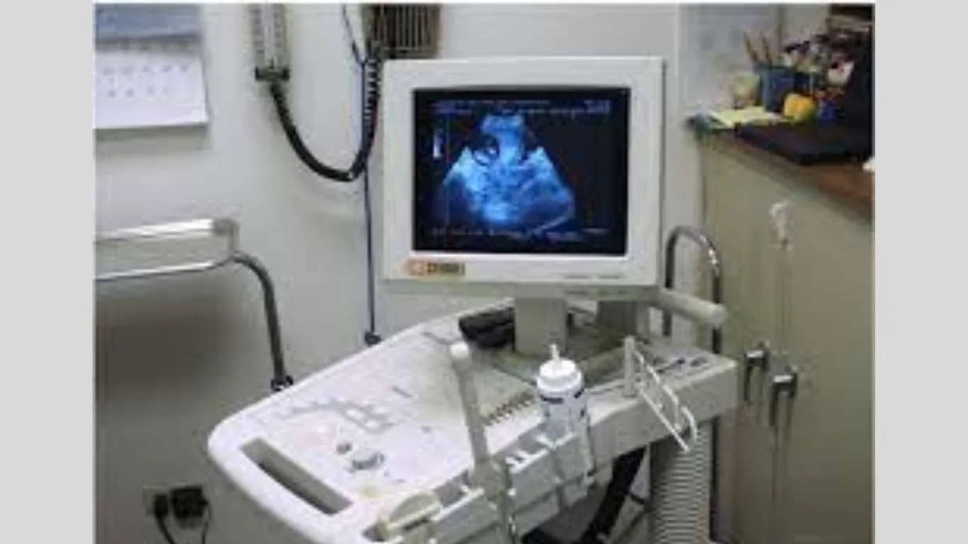 Garampani News: अल्ट्रासाउंड सेवा ठप होने से ग्रामीण परेशान, लोगों ने जताई नाराजगी