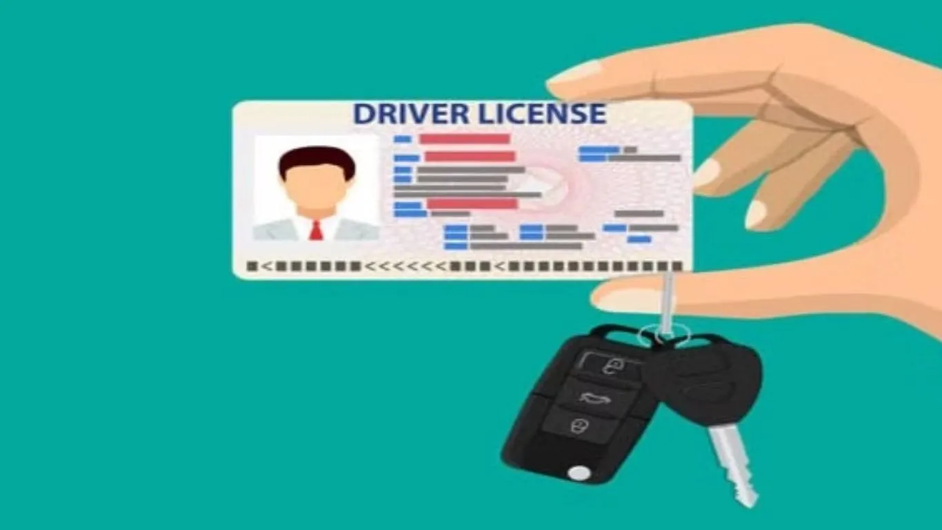 Nainital News: मोबाइल और लाइसेंस लेकर भाग गया चालक, मामला जानकर जायेंगे चौंक... जानें ऐसा क्या हुआ