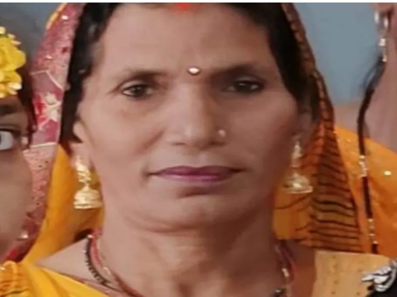 बस्ती: नीलगाय से टकराई बाइक, मां की मौत बेटा घायल