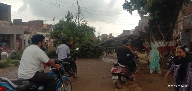 अयोध्या : रामपथ पर गंदानाला के पास गिरा पेड़, लगा जाम