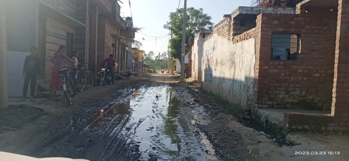 बरेली:कागजी खेल! सफाई हुई न कीटनाशक का छिड़काव, प्रदेश में फिर भी नंबर वन