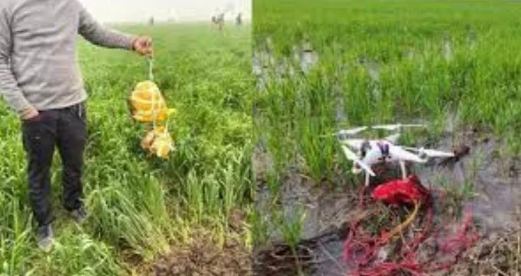 BSF ने की भारत-पाक अंतर्राष्ट्रीय सीमा पर पांच किलोग्राम हेरोइन जब्त 