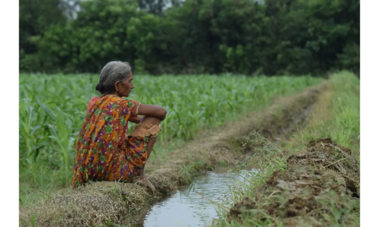 रुद्रपुर: खेत की मेड़ काटने के विवाद में रिपोर्ट दर्ज