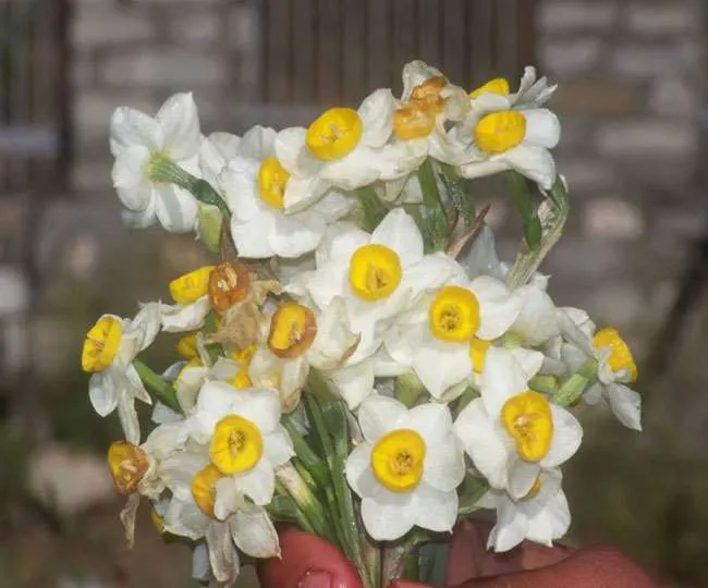 16_08_2021-nagras_21931989