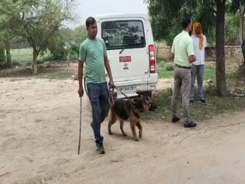 Prayagraj Murder : धारदार हथियार से काटकर युवती की हत्या, जांच में जुटी पुलिस 