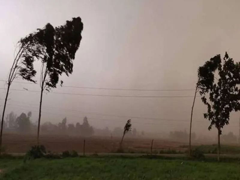 UP Weather : नया पश्चिमी विक्षोभ सक्रिय, दो दिन हल्की से तेज बारिश के आसार 