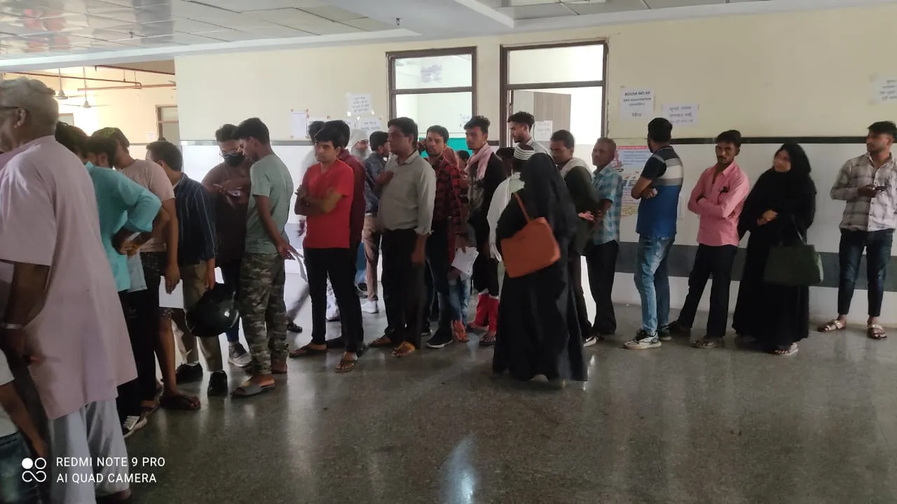 बरेली: बढ़ रहा बंदर और कुत्तों का आतंक, टूटा एआरवी का रिकॉर्ड, 320 को लगी वैक्सीन