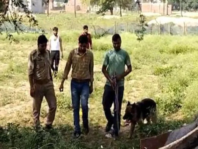 प्रयागराज: शादी वाले घर को चोरों ने खंगाला, साढ़े 9 लाख नकदी और 16 तोला सोना उड़ाया