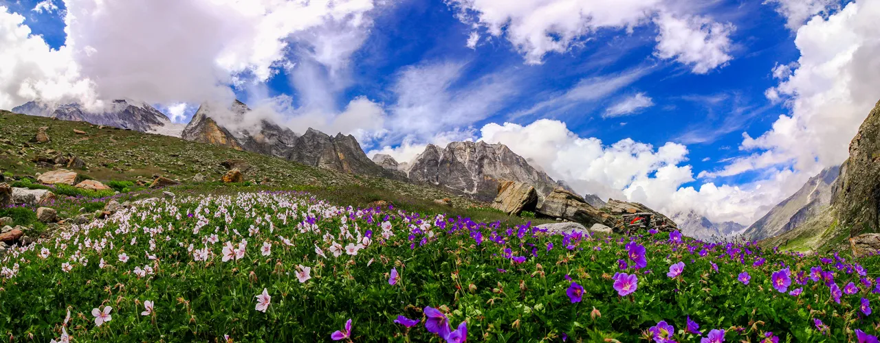 चमोली: फूलों की घाटी खुलने में कुछ ही समय बचा शेष