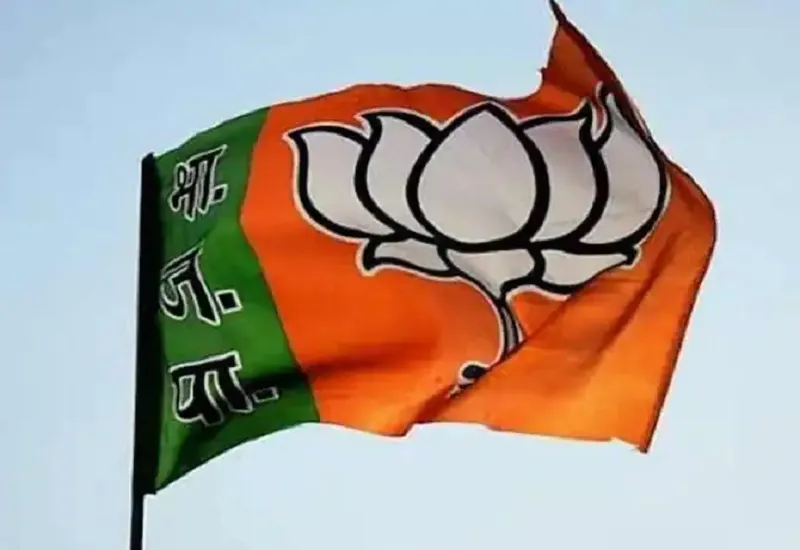 Nikay Chunav Results 2023 : अमरोहा में भाजपा का मुस्लिम फैक्टर नहीं आया काम