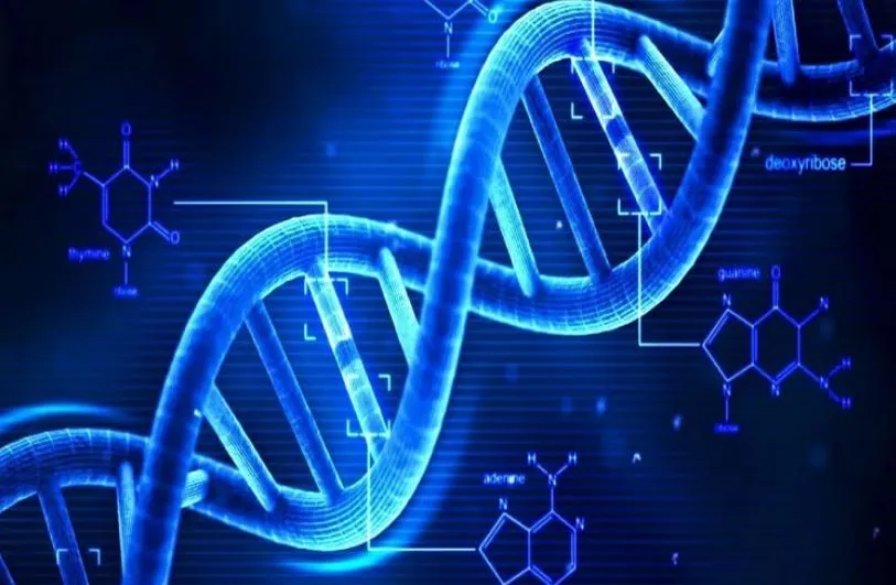 अपराधियों संबंधी डेटाबेस का अभाव DNA प्रोफाइलिंग के लिए चुनौती : फॉरेंसिक अधिकारी