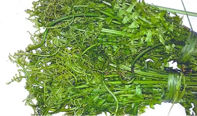 क्या आपने चखा है पहाड़ी सब्जी का स्वाद, अगर नहीं तो हम करायेंगे अहसास... खाने से भाग जायेंगी कई बीमारियां, दूर हो जायेगा शुगर व हार्टअटैक