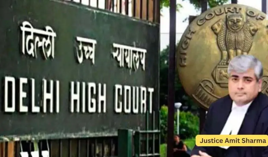 अपराध की जांच पूरी होने से पहले आरोप-पत्र दाखिल करना अनुच्छेद 21 के खिलाफ: दिल्ली हाईकोर्ट