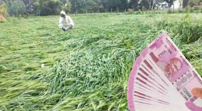 बरेली: 8711 किसानों के फसलों के नुकसान की होगी भरपाई
