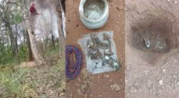 छत्‍तीसगढ़: दंतेवाड़ा में पांच किलो वजनी आईईडी बम बरामद