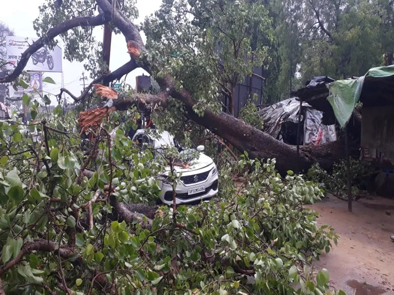 बहराइच: मूसलाधार बारिश के चलते वाहनों पर गिर पीपल का पेड़, चार घायल