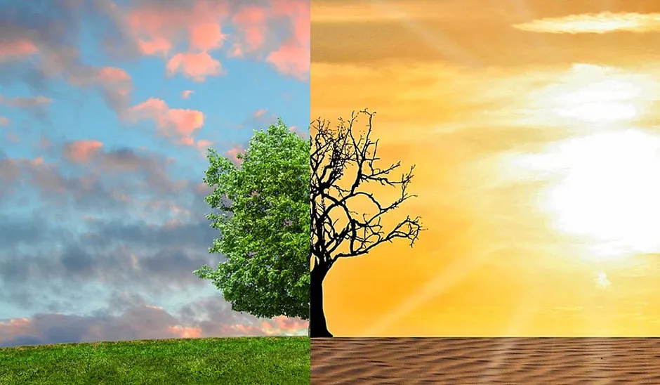 गर्मी के प्रकोप को मापने के लिए अगले साल तक भारत का अपना सूचकांक होगा: आईएमडी प्रमुख