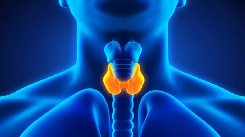 मुरादाबाद: असंतुलित खानपान व तनावपूर्ण जीवनशैली से बढ़ता है थायराइड
