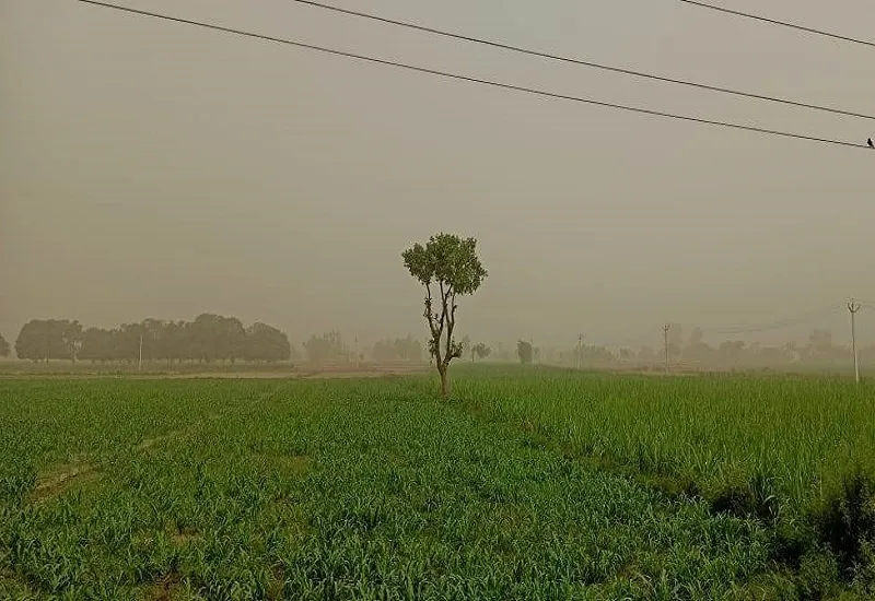 खतरा बढ़ा : प्रदेश में मुरादाबाद की हवा सबसे अधिक दूषित