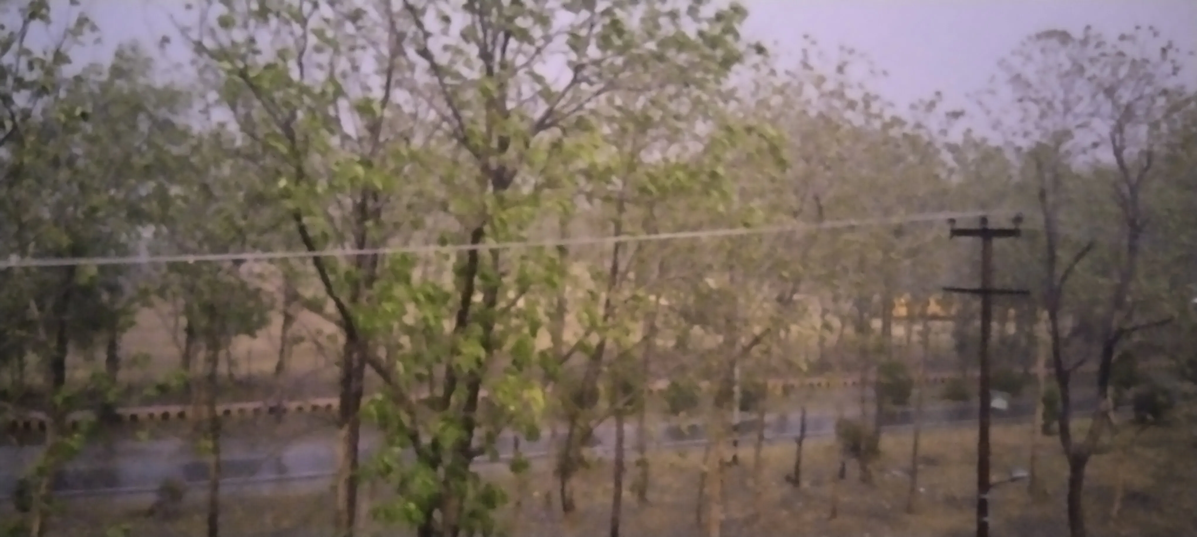 Haldwani News : तेज हवाओं व गरज के साथ बारिश जारी, लोगों को मिली गर्मी से राहत