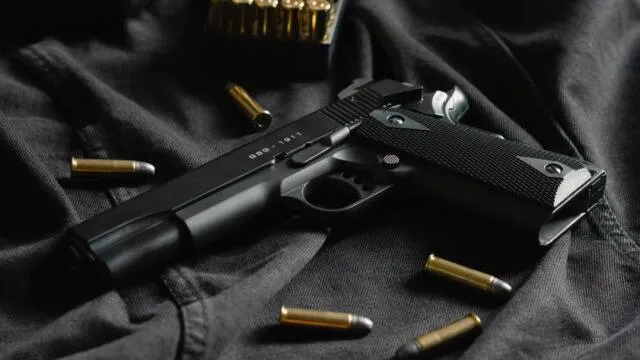 दिल्ली : कुल शस्त्र लाइसेंस धारकों में महज दो फीसदी महिलाएं 