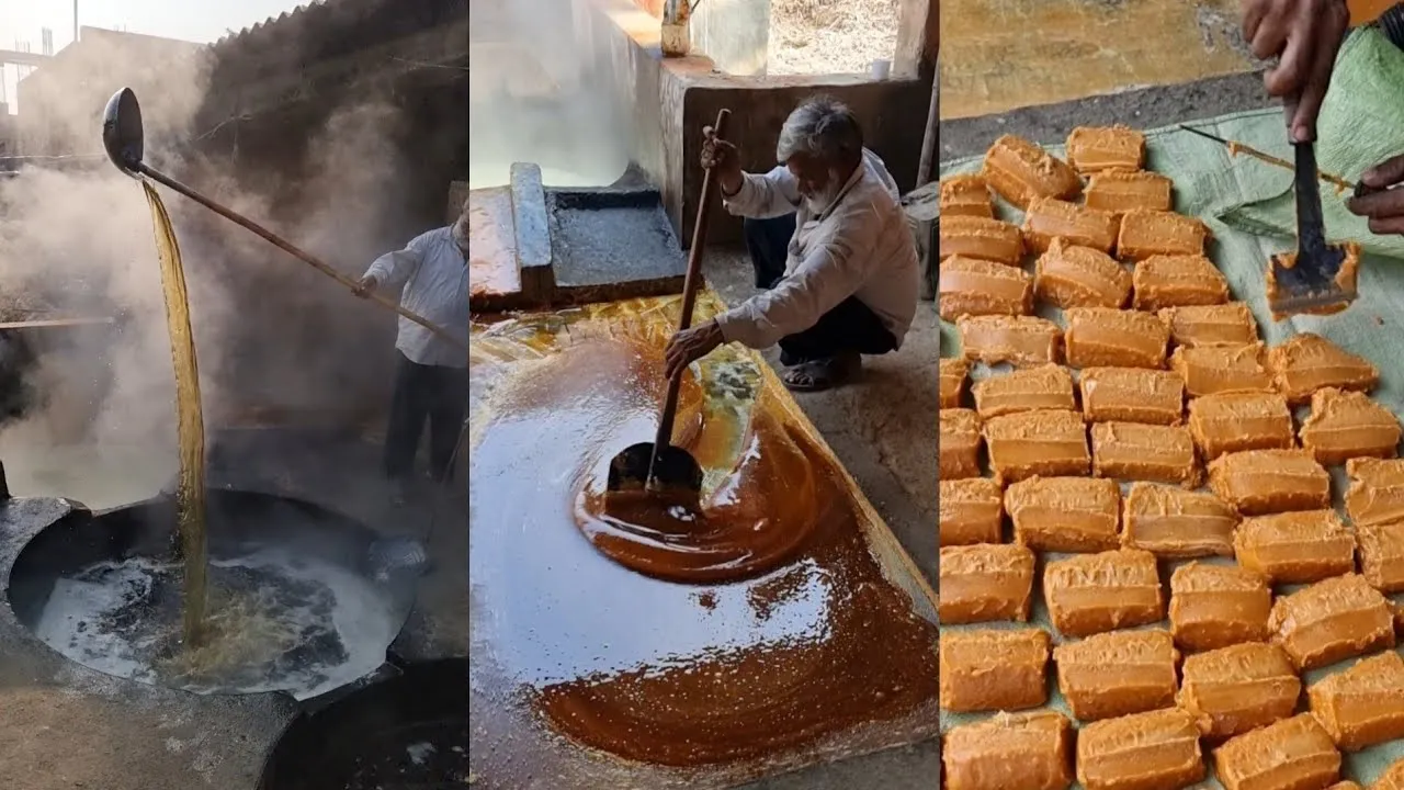 काशीपुर: जैविक गुड़ को बढ़ावा देने को कोल्हूओं की स्थापना के दिए निर्देश