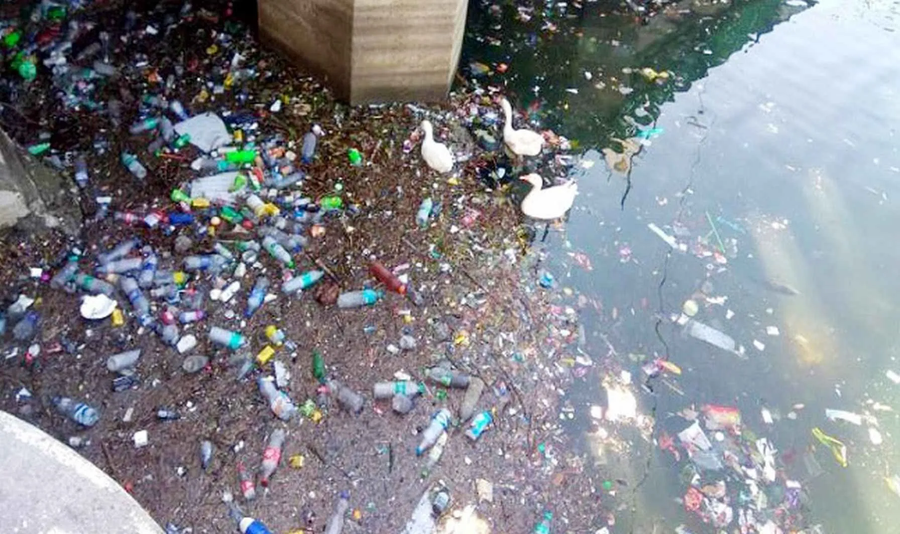 नैनीताल: झील में की गंदगी तो होगा पांच हजार का चालान