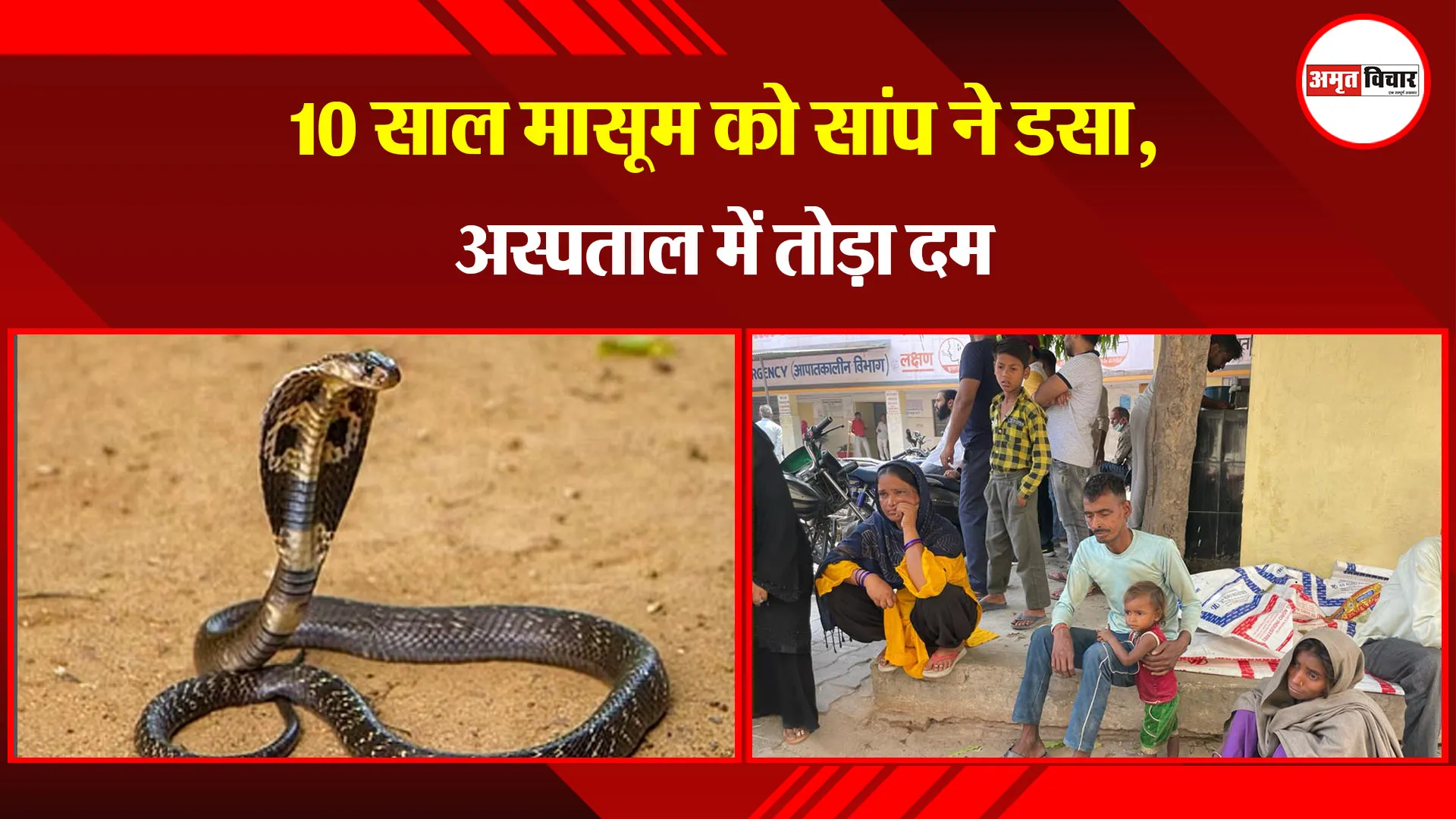 बरेली: 10 साल मासूम को सांप ने डसा, अस्पताल में तोड़ा दम