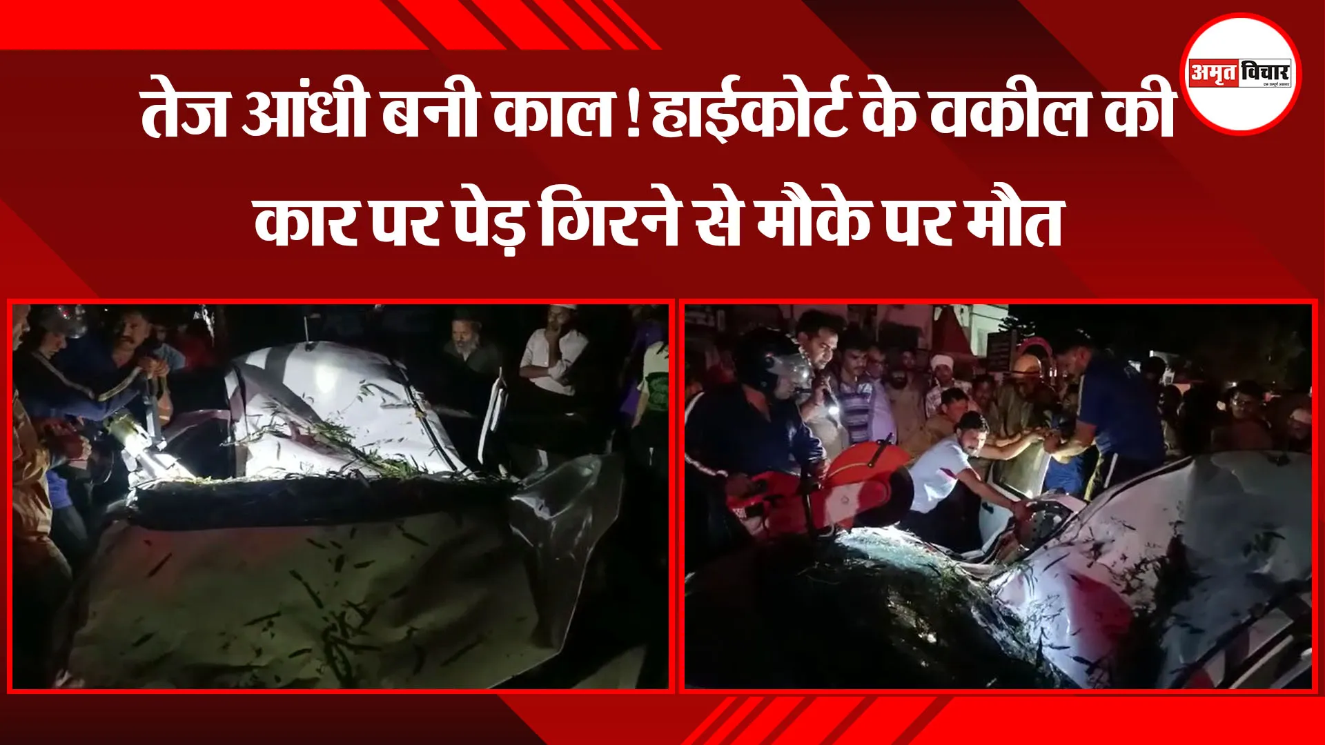 हल्द्वानी: तेज आंधी बनी काल! हाईकोर्ट के वकील की कार पर पेड़ गिरने से मौके पर मौत