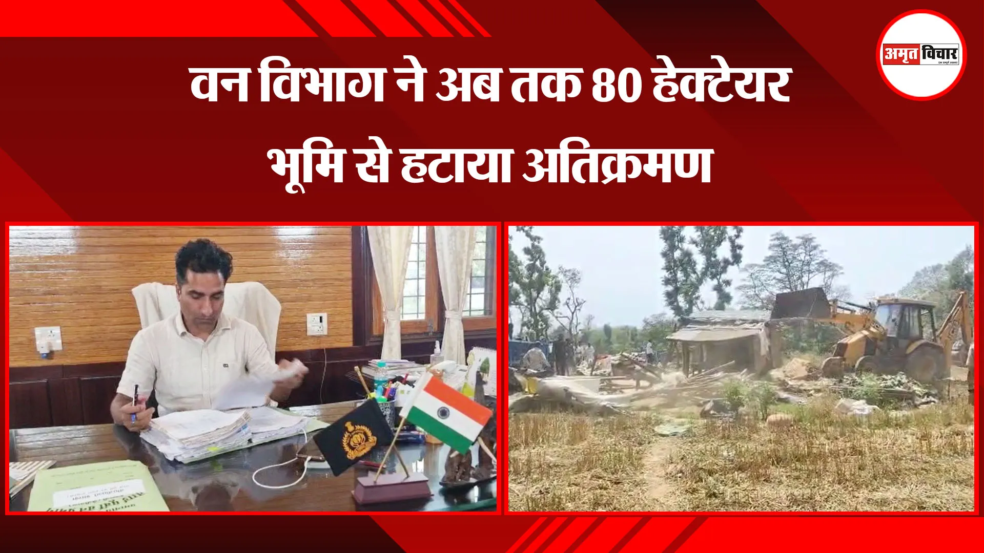हल्द्वानी: वन विभाग ने अब तक 80 हेक्टेयर भूमि से हटाया अतिक्रमण