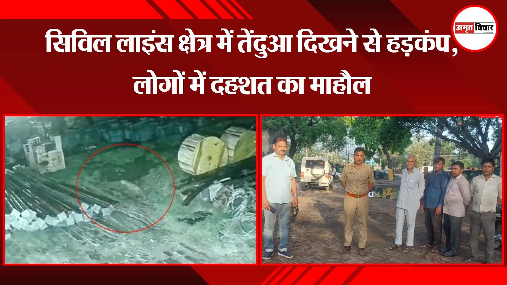 रामपुर: सिविल लाइंस क्षेत्र में तेंदुआ दिखने से हड़कंप, लोगों में दहशत का माहौल