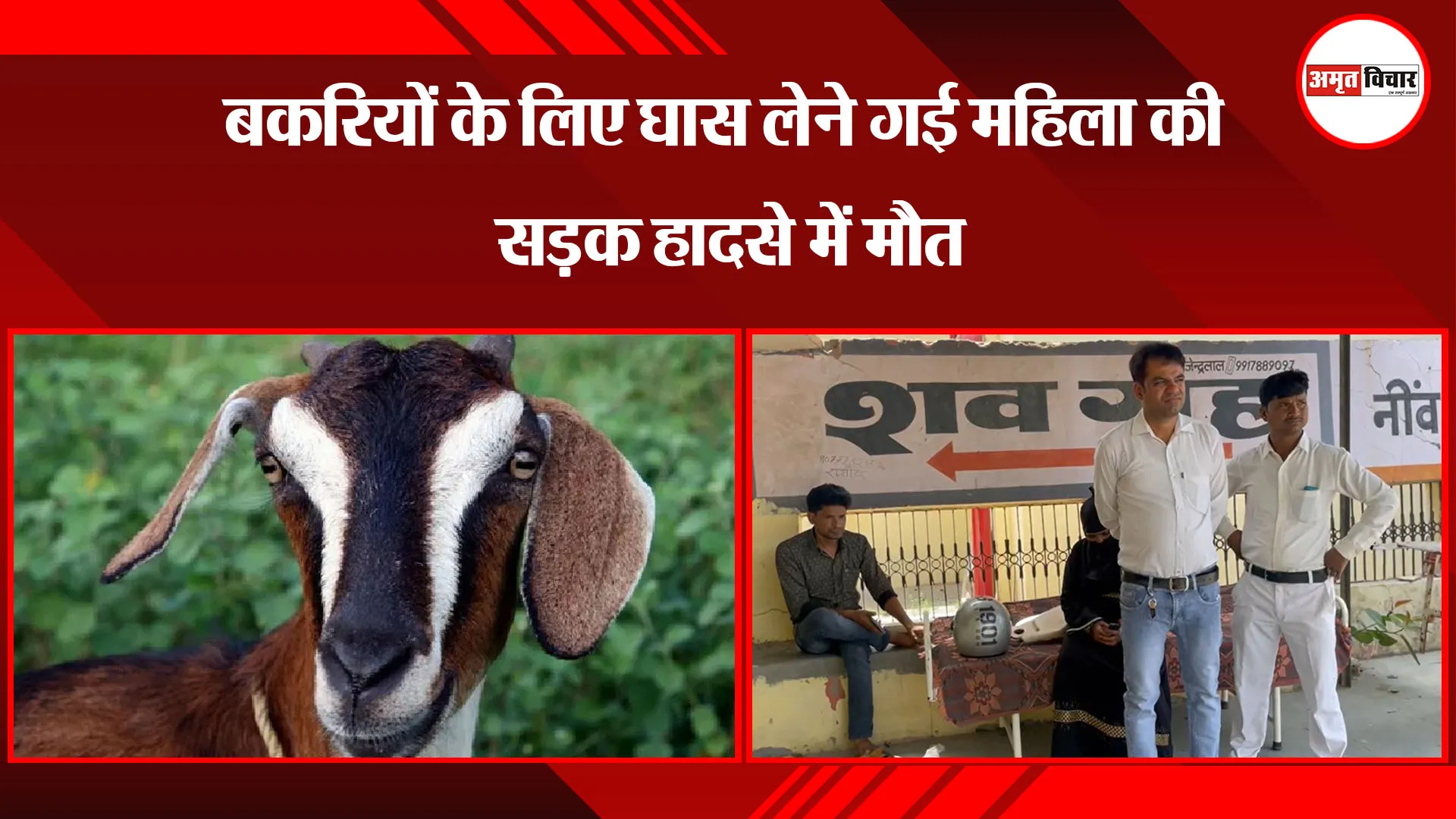 बरेली: बकरियों के लिए घास लेने गई महिला की सड़क हादसे में मौत