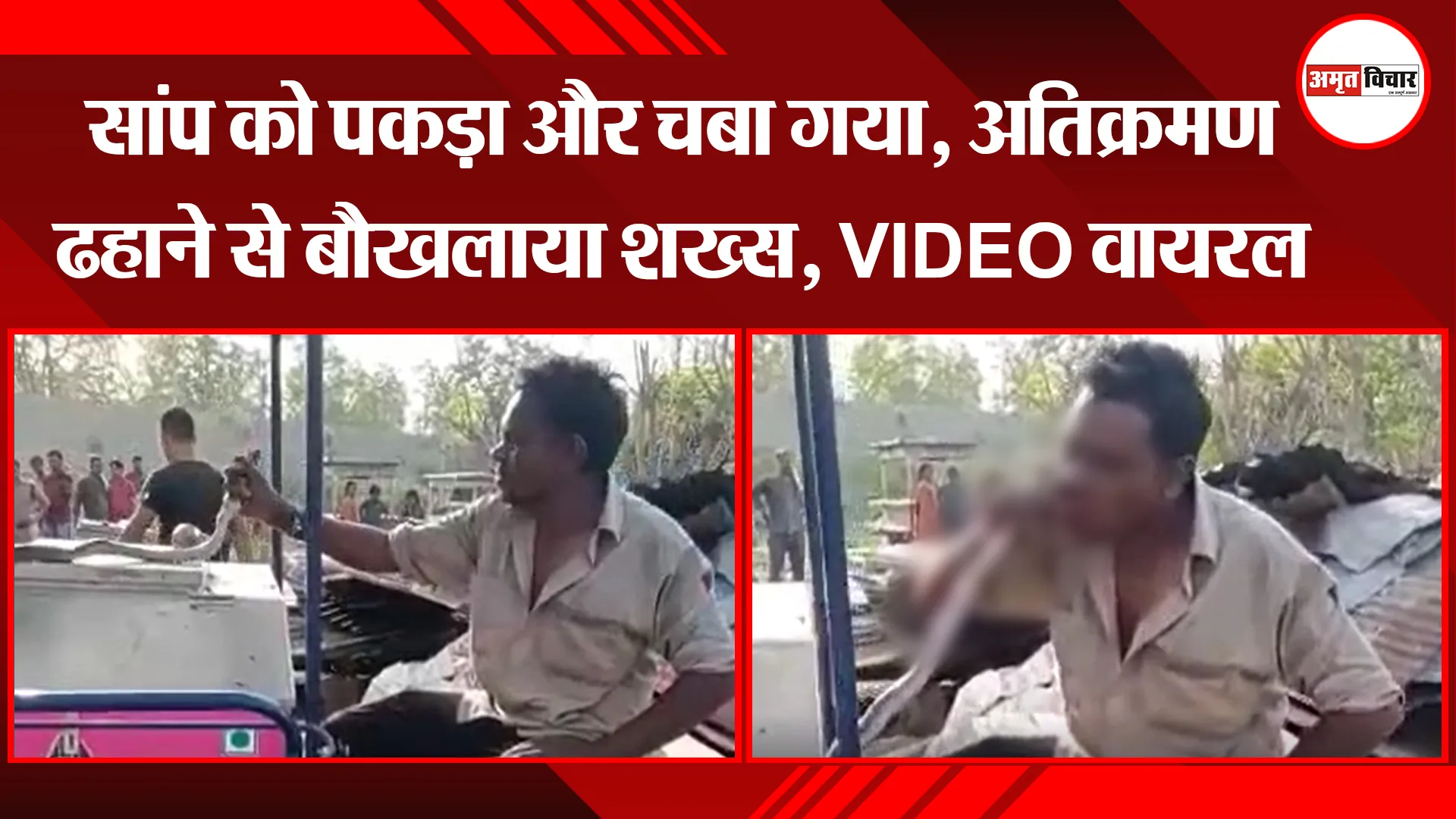 लालकुआं: सांप को पकड़ा और चबा गया, अतिक्रमण ढहाने से बौखलाया शख्स, VIDEO वायरल 