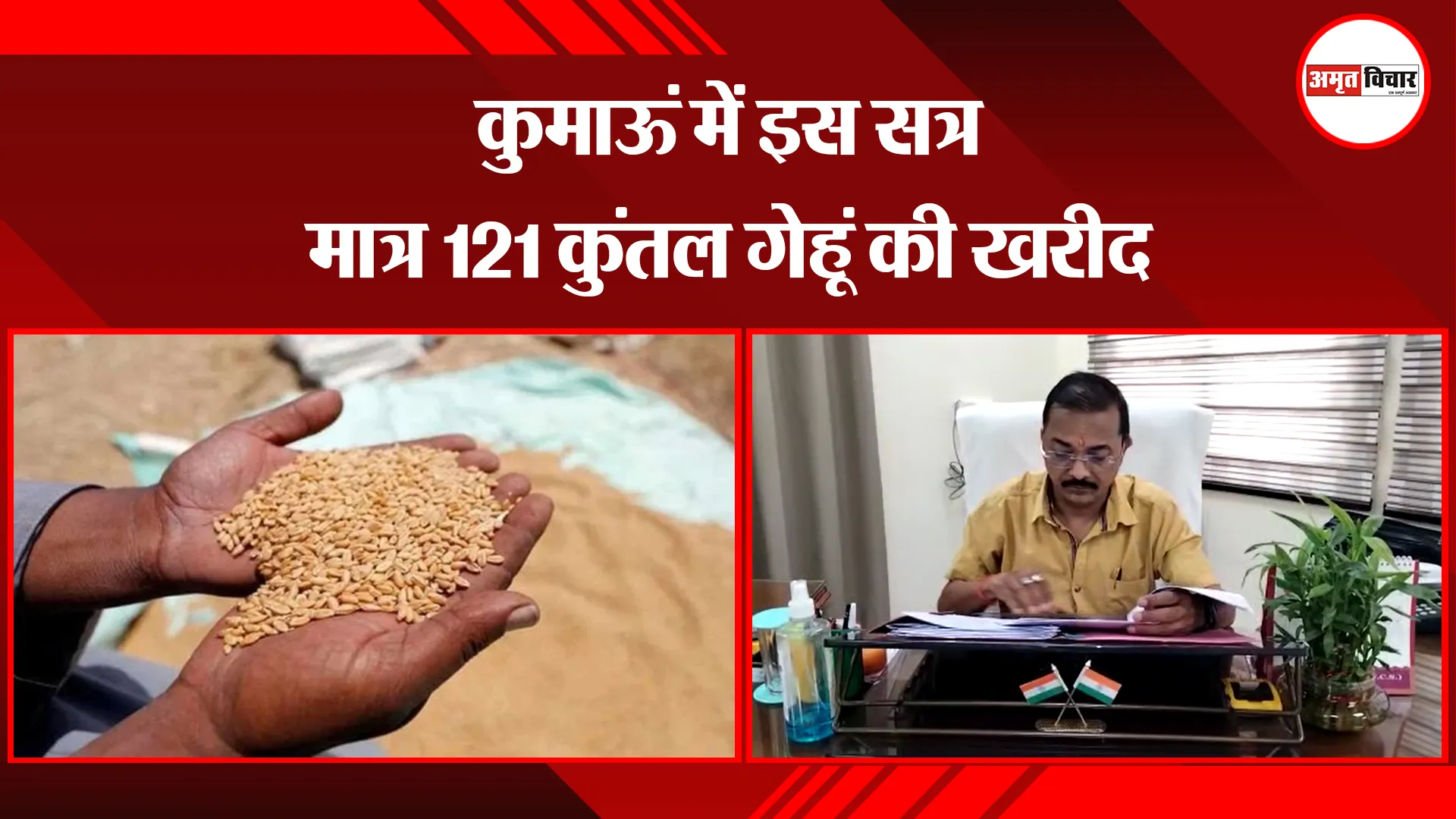 हल्द्वानी: कुमाऊं में इस सत्र मात्र 121 कुंतल गेहूं की खरीद