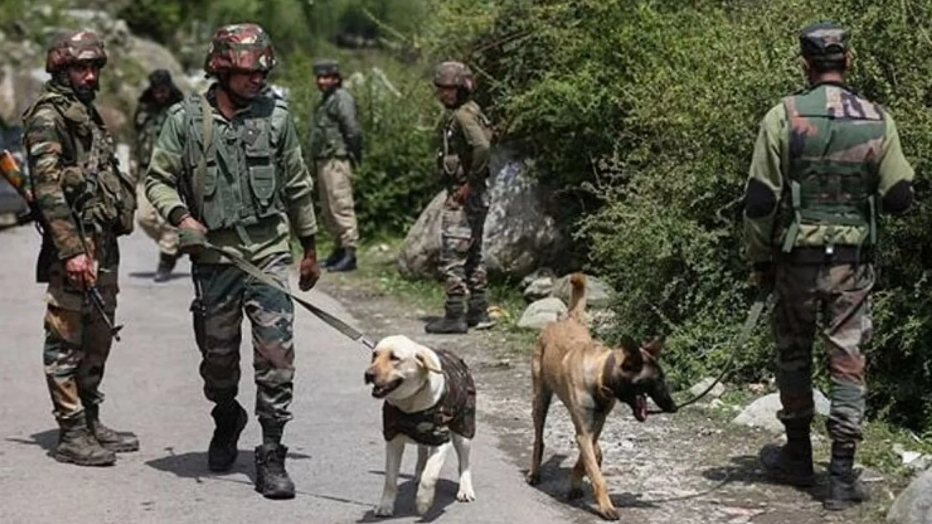 जम्मू-कश्मीर के पुंछ में संदिग्ध आतंकवादी ठिकाने का भंडाफोड़, विस्फोटक बरामद 