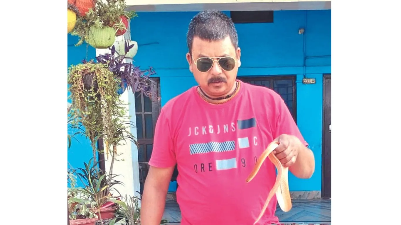 Udham Singh Nagar : शांतिपुरी में मिला दुर्लभ प्रजाति का रेड कोरल सांप, रेस्क्यू कर जंगल में छोड़ा