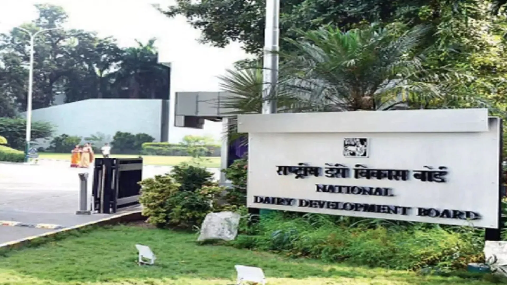 तीन डेयरी कंपनियों की स्थापना में NDDB कर रहा UP सरकार की मदद, महिलाओं का होगा स्वामित्व 